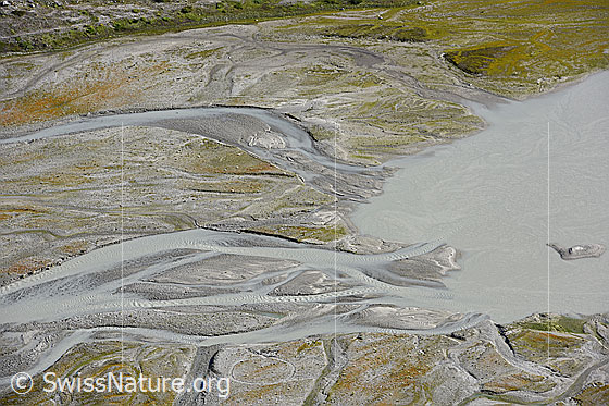 Foto: Mäander in Schwemmebene.