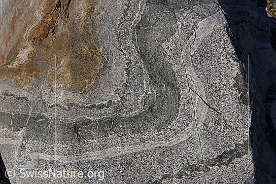 Foto: Bändergneis mit verformten Lagen (Bänderung, fotografiert an einem Felsblock)
Das hellste Band ist im Bereich der Risse ca. 3cm breit. Bändergneis ist ein metamorphes  Gestein.
