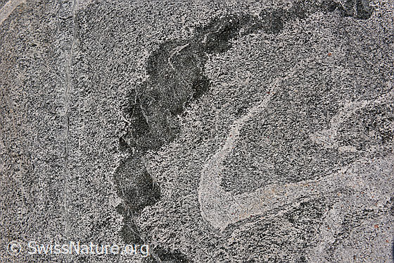 Foto: Bändergneis. Ausschnitt aus Felsblock.
