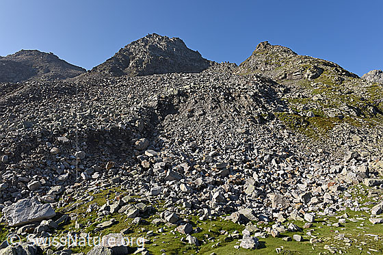 Foto: Front eines Blockgletschers. Höhe des Aufnahmeorts: ca. 2400m ü.M.
