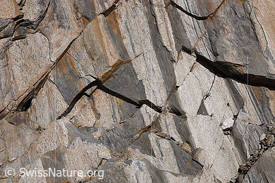 Foto: Brüche in Bünderschiefer.