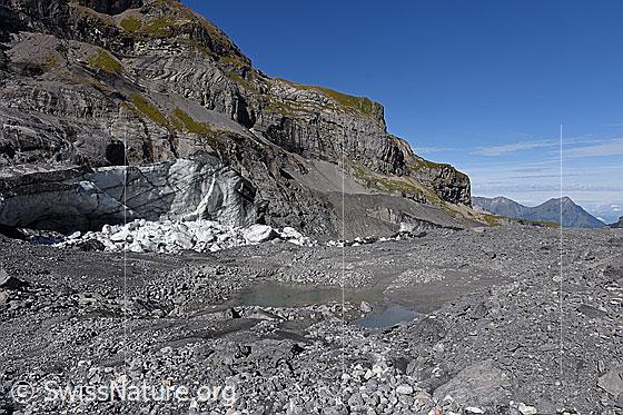 Foto: Der randglaziale See wurde von einem Riegel aus Eis gestaut. Wenige Tage vor der Aufnahme dieses Fotos ist der Eisriegel eingestürzt und der See ausgelaufen. Ansicht von Südosten.
