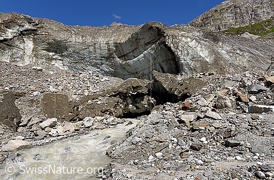 Foto: Nördliches Gletschertor am Unteraargletscher (Stand 7.2020).
Die Front des Einsturztrichters 2018/2019 hat sich weiter nach Westen verschoben. Am Fuss der Eiswand fliesst nun aus einem Gletschertor eine beachtliche Menge Wasser. Ein Teil des Wassers stammt vom Triftbach, welcher wenig weiter westlich von der Seite in den Unteraargletscher fliesst. Das Wasser war zu Beginn wire auf dem Foto gefärbt, ein paar Minuten später wechselte die Farbe auf braungelb.