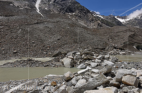 Foto: Ein Murgang hat einen kleine Naturdamm aufgeschüttet, welcher nun die junge Aare staut.
Umgebung: Karges Gletschervorfeld mit Tümpel und wenig Vegetation. Ca. 1940m ü.M.