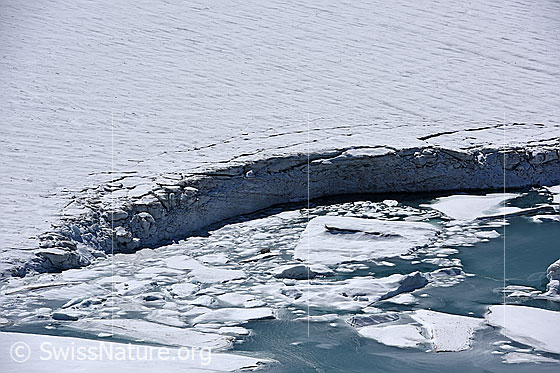 Foto: Chüebodengletscher: Abbruchstelle und Eisschollen. 
Auf dem Foto ist die Stelle zu sehen, an welcher im Sommer Jahr 2020 (wahrscheinlich unterspültes) Eis vom Chüebodengletscher abgebrochen ist. Das abgebrochene Eis schwimmt in Form von Eisschollen und kleinen Eisbergen auf dem Gletschersee (Proglazialer See).