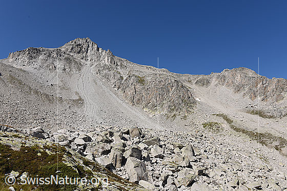 Foto: Sturzbahn und Kegel eines Bergsturzes.