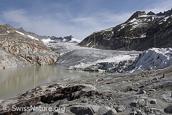 Foto: Gletscherabdeckung am Rhonegletscher  (Stand 7.2021). Ansicht von der Seite.


