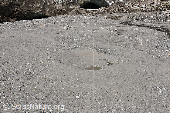 Foto: Unteraargletscher: Eisloch im Gletschervorfeld.