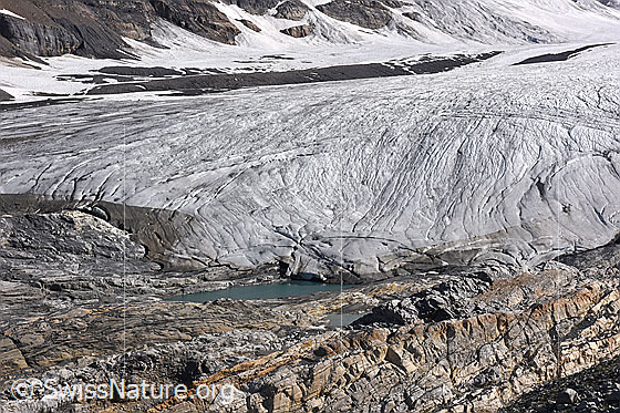 Foto: Gletscherende des Kanderfirns mit proglazialem See. Stand Juli 2021.