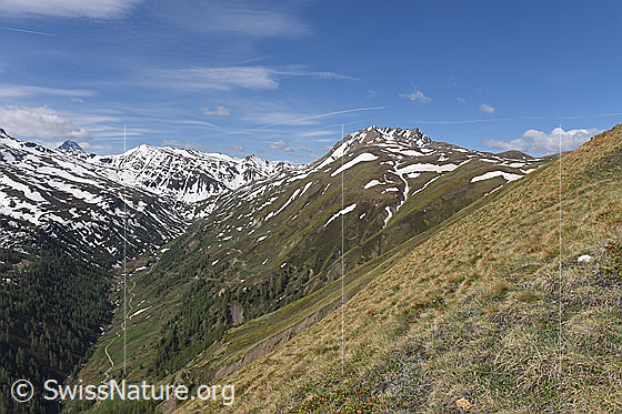 Foto: Blick vom Breithorn (Kreuz) über das Saflischtal zu Oberblatthorn, Saflischpass und Bättlihorn.