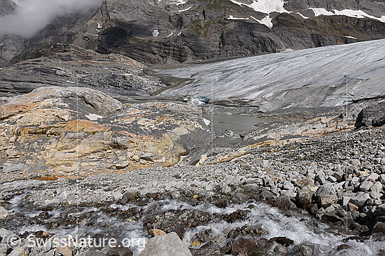 Foto: Kanderfirn: Gletscherzunge und Gletscherbach. Im Vordergrund ist der Bergbach zu sehen, durch welchen das Schmelzwasser des östlichen Teils der Birggletschers abfliesst.