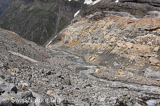 Foto: Gletscherbach und Band aus Rötidolomit vor dem Kanderfirn. Durch den Gletscherbach fliessen Teile des Schmelzwassers von Kanderfirn und Birggletscher. Dieses kleine Tal war bis 2010 teilweise vom Kanderfirn bedeckt.