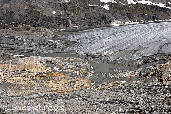 Foto: Gletscherzunge und südlicher Gletscherbach des Kanderfirns. Stand: Mitte Juni 2022.