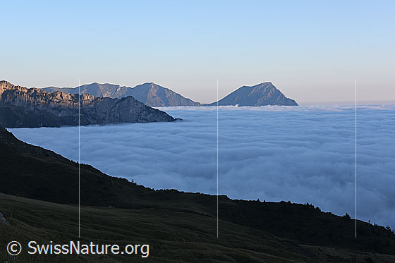 Foto: Nebelmeer über dem Kiental, dem Kandertal und dem Mittelland. Mit Niesen.