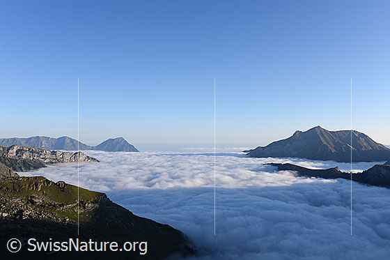 Foto: Nebelmeer über dem Kiental, dem Kandertal und dem Mittelland.