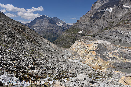 Foto: Urtümliche Landschaft am Kanderfirn. Das Tälchen im Vordergund war bis vor ca. 20 Jahren mit Eis bedeckt.