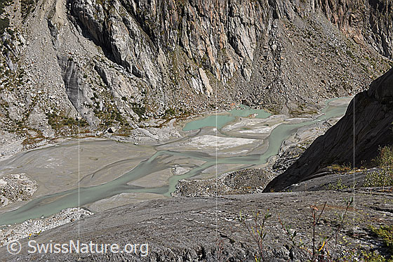 Foto: Schwemmebene im Gletschervorfeld des Fieschergletschers.