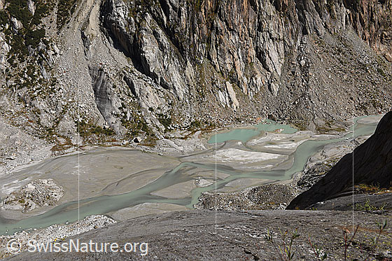 Foto: Schwemmebene im Gletschervorfeld des Fieschergletschers.