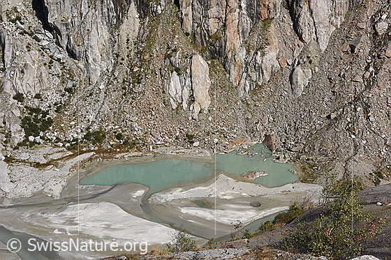 Foto: Kleine Seen im Gletschervorfeld des Fieschergletschers.