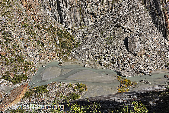 Foto: Gletschervorfeld des Fieschergletschers. Links ein bereits teilweise begrünter Geröllkegel. Rechts ein Geröllkegel, auf welchen ein sehr grosser Felsblock gestürzt ist.
