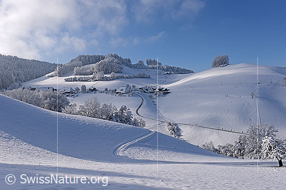 Foto: Bauernhäuser in Winterlandschaft.