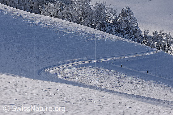 Foto: Geschwungener Feldweg in Winterlandschaft.