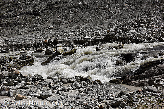 Foto: Tagesgang Schmelzwasser Oberaargletscher am 5.8.2024 um 14:15 Uhr.