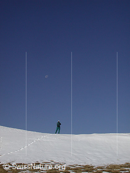 Foto: Person im Horizont mit Mond