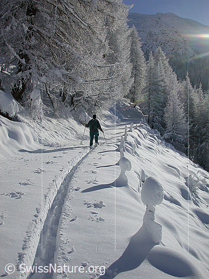 Foto: Unterwegs in verschneiter Landschaft