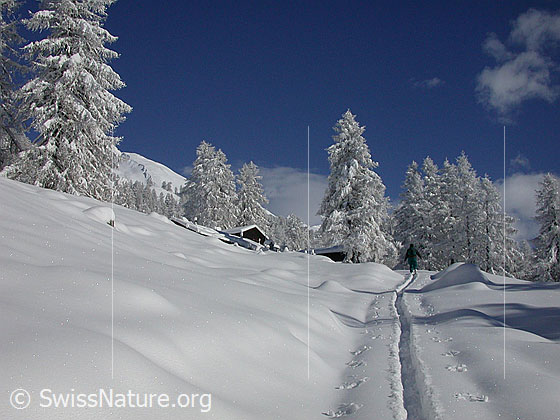 Foto: Unterwegs in verschneiter Landschaft