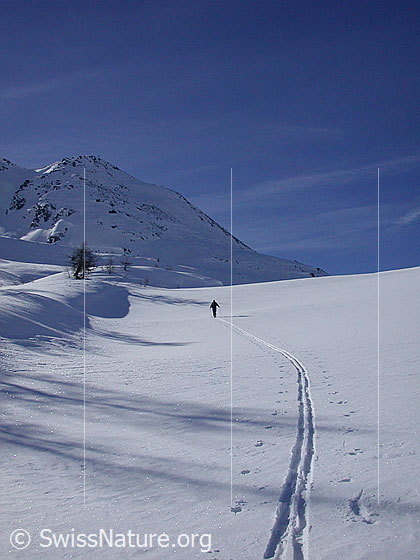 Foto: Skitourenfahrer im Aufstieg