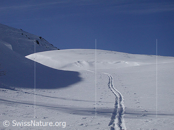 Foto: Skispur auf Hockbode