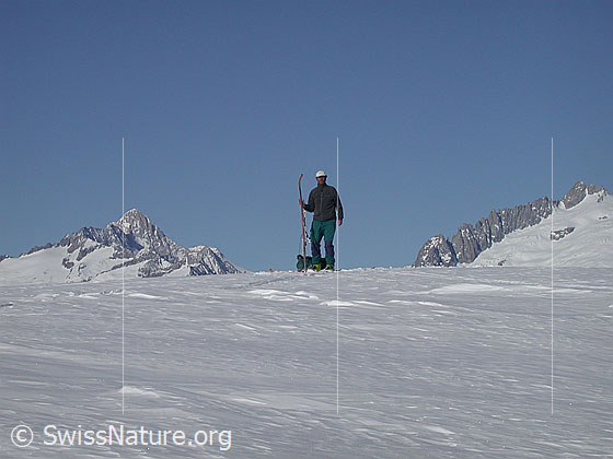 Foto: Auf dem Gipfel
