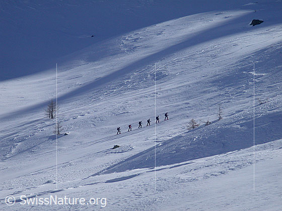 Foto: Skitourengruppe im Aufstieg