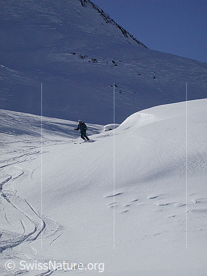 Foto: Skitourenfahrer bei der Abfahrt