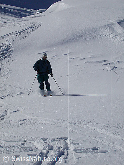 Foto: Skitourenfahrer bei der Abfahrt