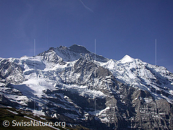 Foto: Blick von der Kleinen Scheidegg zur Jungfrau, Schneehorn und Silberhorn.