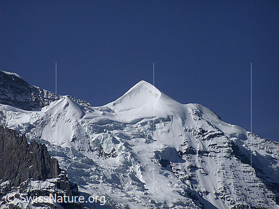 Foto: Blick von der Kleinen Scheidegg zu Schneehorn und Silberhorn.
