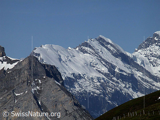 Foto: Blick von der Kleinen Scheidegg zu Tschingelgrat und Tschingelspitz.
