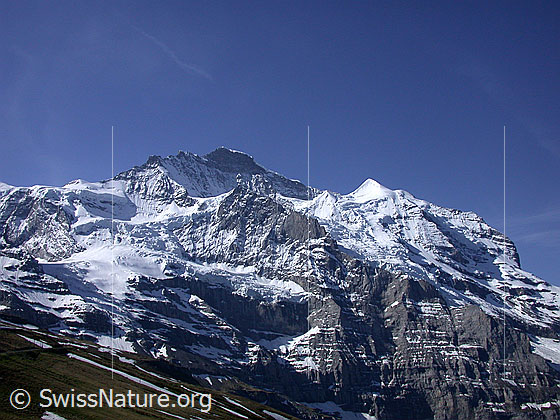 Foto: Blick von der Kleinen Scheidegg zu Jungfrau, Schneehorn und Silberhorn. Links ist der Chielowenen Gletscher zu sehen.