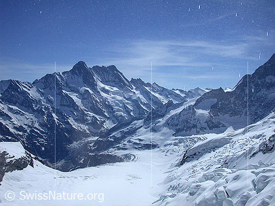 Foto: Blick von der Station Eismeer auf den Fieschergletscher.
Im Hintergrund Schreckhorn und Lauteraarhorn..