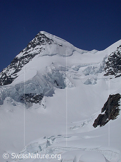Foto: Blick vom Jungfraujoch zu Rottalhorn und Rottalsattel.