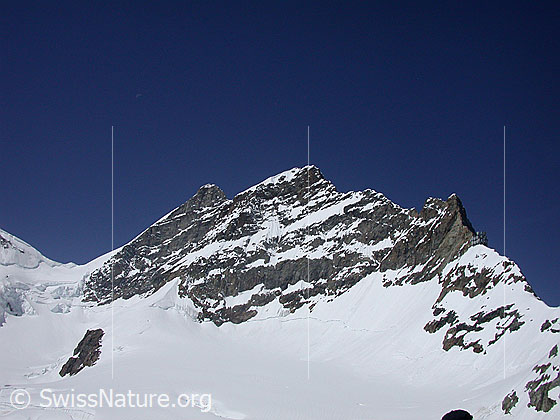 Foto: Blick vom Jungfraujoch zur Jungfrau.