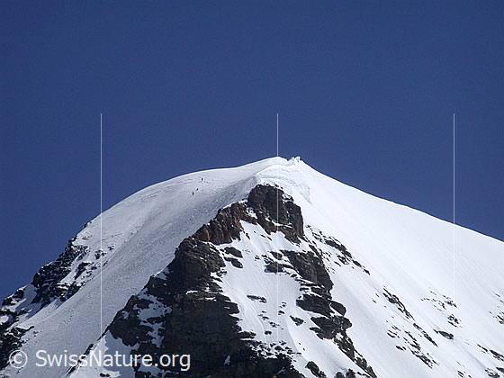 Foto: Blick vom Jungfraujoch zum Mönch. 
Im Eisfeld oberhalb des Nollen ist eine Seilschaft zu sehen.