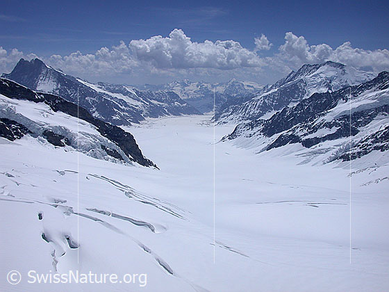 Foto: Blick vom Jungfraujoch (Sphinx) über den Jungfraufirn Richtung Konkordiaplatz und Aletschgletscher.