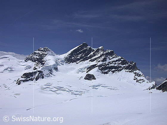Foto: Rotalhorn, Rottalsattel und Jungfrau von E.