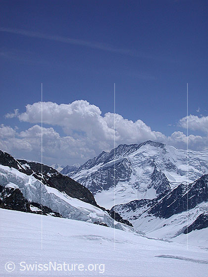 Foto: Dreieckhorn von N