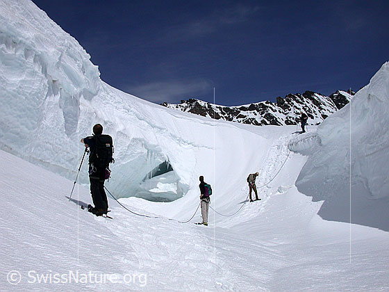 Foto: Alpinisten in Gletscherlandschaft am Jungfraujoch.