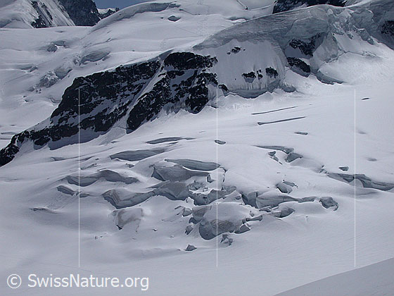 Foto: Blick vom Jungfraujoch auf den Jungfraufirn. Im Hintergrund der Sporn, über welchen die Normalroute zur Jungfrau führt.