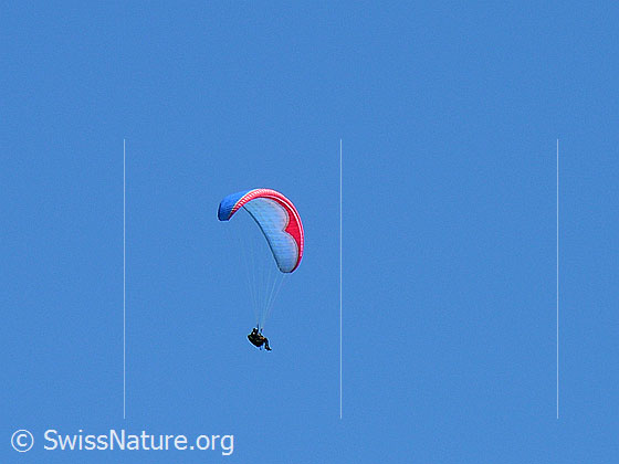 Foto: Gleitschirm im Flug.